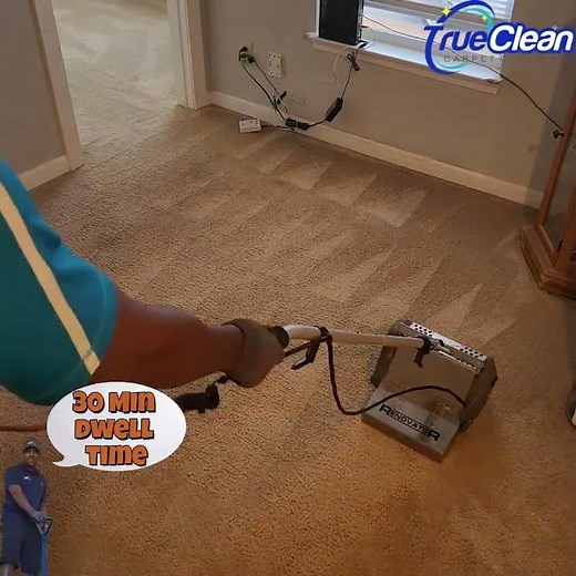 Removing YEARS of Pet Odor & Stains | Satisfying Deep Clean Results