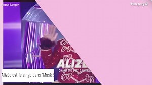 Alizée, son divorce avec Jérémy Chatelain : sa douleur pour leur fille Annily, première victime de leur séparation