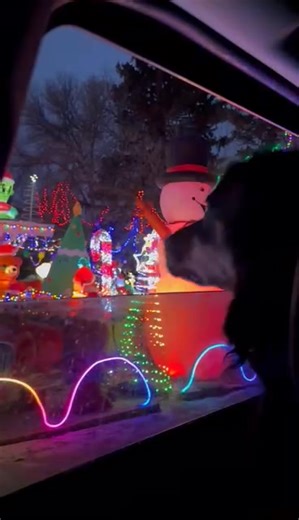 What a beautiful Christmas update for Sherry , now Ruby. Ruby came into care last year and was quickly adopted into her new, amazing, loving home. She is surrounded every day with love , friends and adventure. She is living her best life and every day to the fullest. Her new life and the love that surrounds her is what we hope for every rescue animal! | Pound Rescue