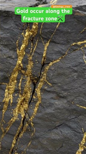 Gold Mine Sample ⚒️#geology_craze