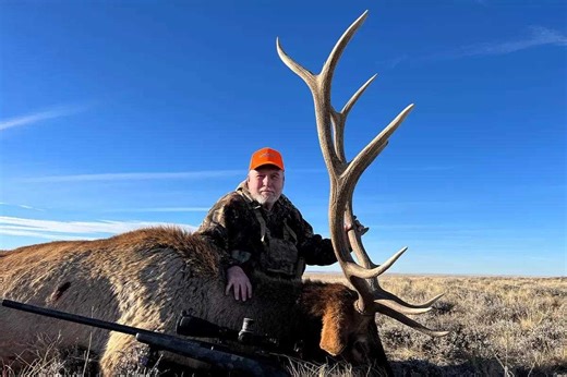 The Complete Guide to Elk Hunting in Wyoming - Game & Fish