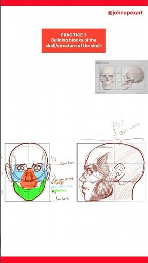Practicing the anatomy of the skull [drawing the head] #sketch #anatomy #drawingprocess