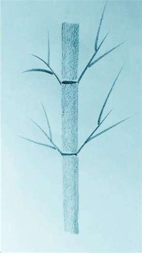 Super easy bamboo drawn by pencil like real #real #bamboo #pencildrawing #treendingvideo