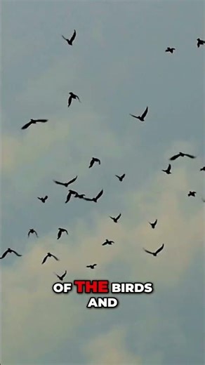 How Much Does God Actually Care About You