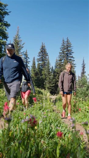 Nothing beats reaching new heights together! Step after step. Laugh after laugh. View after breathtaking view. Hiking at Manning Park is more than just a trail — it’s a journey filled with shared moments, fresh mountain air, and memories that last a lifetime. So what are you waiting for...get out and explore 🥾 #ManningPark #FirstBrotherHike #ExploreBC #HikeBC | Manning Park Resort