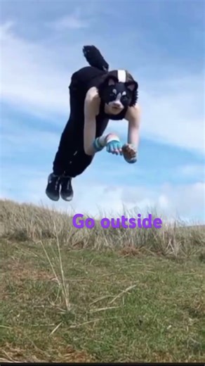 FULL GUIDE ( really easy to fallow ) #pleasesupport #therian #funny