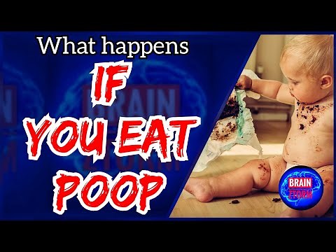 What Happens If You eat POOP ? | BRAIN ZTORM CONCEPTS
