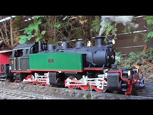 LGB 2085D digitalisieren Teil 3 Testfahrt im Garten