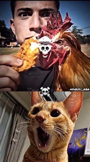 "Sigma 🍗 chicken ,with cat reaction#catshorts#trollfac#edit