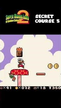 Super Mario Land 2 Secret Course 5
