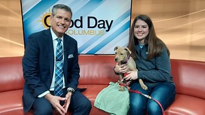 Fur Baby Friday: Meet Chipmunk from Columbus Humane