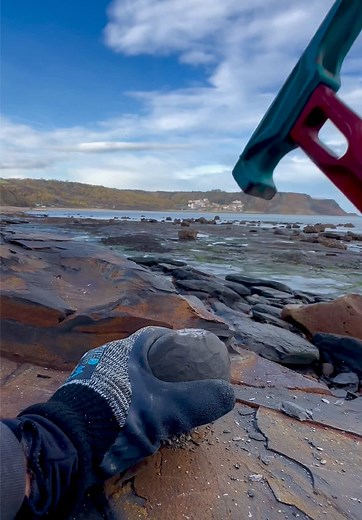Ammonite Beach Find: Jurassic Fossil Extraction and Prep