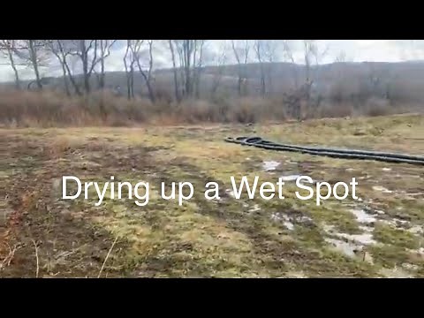 Installing a drain tile into a pond.