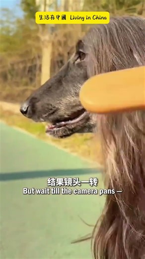 背影杀手：这是谁的长发飘飘？