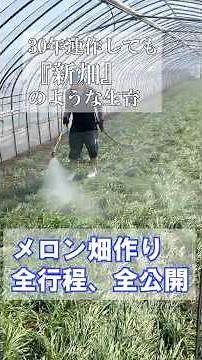 メロン栽培の土づくり全工程を公開｜30年連作でも“新畑”のように育つ理由：北海道 富良野 メロン農家の寺坂農園