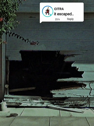 Citra Nosey Robot Safe Zone Map and Abilities