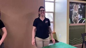 55K views · 1.7K reactions | LIVESTREAMS AT CINCINNATI ZOO! The zoo hosted another home safari with Rico, the Brazilian porcupine. : Cincinnati Zoo https://bit.ly/2vzidym | WLWT | Facebook