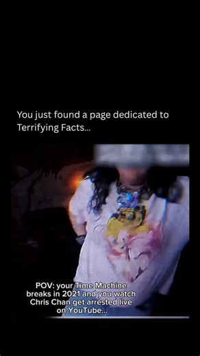 Terrifying As Facts on Instagram: "Christine Weston Chandler, known online as Chris Chan, became one of the internet’s most documented and disturbing figures after creating the Sonichu comics, a mashup of Sonic and Pikachu that spiraled into obsession. What began as awkward YouTube uploads turned into a relentless spectacle, as trolls archived every detail of Chandler’s life, transforming isolation into worldwide humiliation. Over years of harassment, hoaxes, and escalating instability, the situ