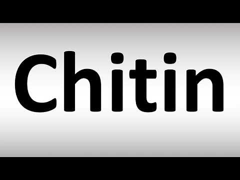 How to Pronounce Chitin