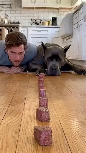 100K views · 296 reactions | This Guy Races His Dog to Finish the Food Line  (_blinkopets_TT)(1080P_HD) | Viral Vips | Facebook