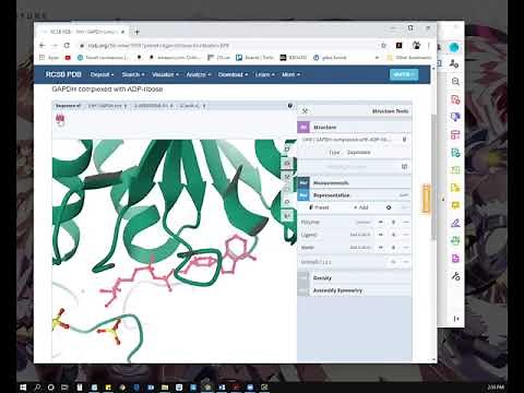 Using PyMOL for protein mutagenesis