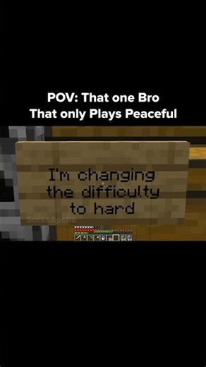 Minecraft Peaceful Moment