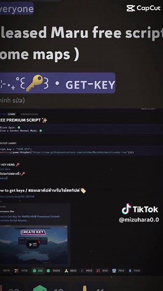 Blox Fruits Auto Farm Script Guide