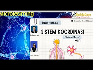 Microlearning TEACHING MATERIALS Anatomy of NERVE CELLS