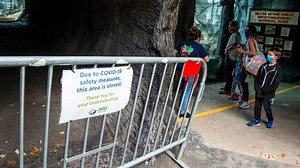 Abba, Zoo Knoxville’s weather-predicting camel, dies after brief struggle with cancer