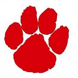 Beechwood Boys Basketball • Home