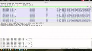 [实测]https://xxx.com:8080走的是443端口还是8080端口