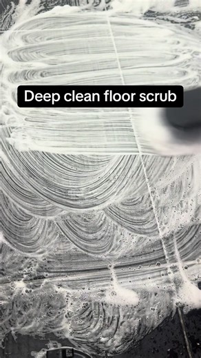 Deep Clean My Rarely Used Toilet: A Fresh Approach