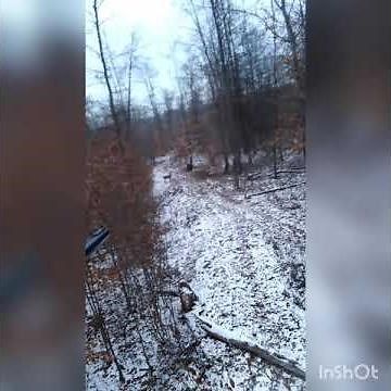 .375 Winchester deer hunt