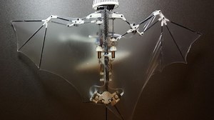 This flying bat bot is designed to fly right into danger zones