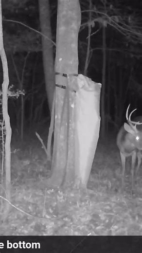 Instagram video by Randy Cook • Dec 21, 2025 at 1:54 PM