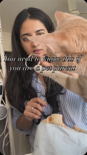 Sanika on Instagram: "As much as cats loves to play with the hair ties and strings, it can turn into a disaster very quickly. Yes ofcourse cats love playing with strings but as long as you ensure that they can’t and don’t inject it. #cats #psa #kittens #orangecats"