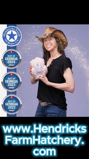 Raccoon on the Run 🦝 #racoons #farmdogs #adventuretime #farmstories #chickens #escape #lifeordeath | Hendricks Farm