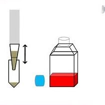 Video: Detection of Infectious Virus from Field-collected Mosquitoes by Vero Cell Culture Assay