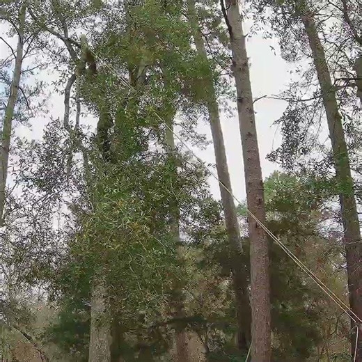 USING A ROPE SAW TO GET THE JOB DONE