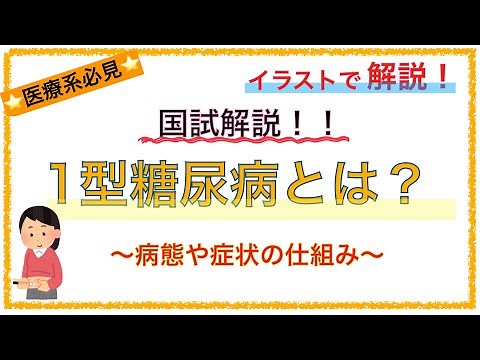 教科書をわかりやすく！「1型糖尿病の病態」〜症状や原因を簡単に解説！〜