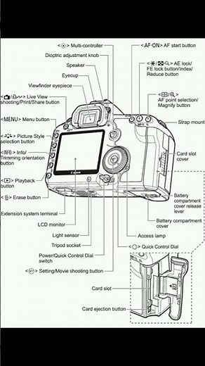 Master Your Canon Camera in 10 Minutes (Beginner Guide)