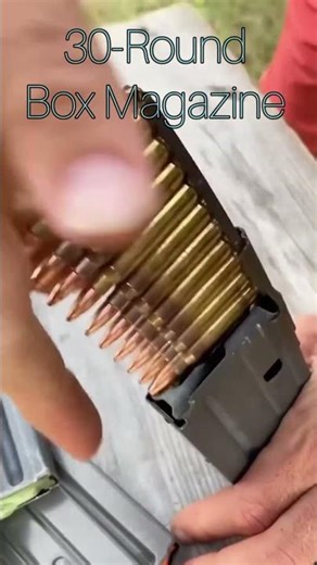 Colt's M16 A1 Cartridge 5.56x45mm NATO