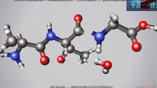 3D动画演示：了解蛋白质的四级结构构造是怎样