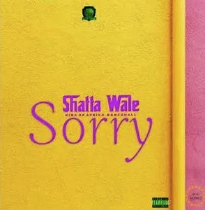 Sorry by Shatta Wale
