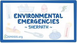 Environmental Emergencies: Video, Causes, & Meaning | Osmosis