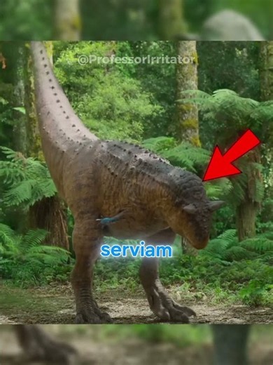 This is why the CARNOTAURUS has such short arms! #funfacts #dinosaur #viral