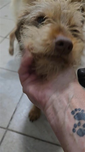 70K views · 970 reactions | DUE TO TIME WASTERS AVAILABLE AGAIN...