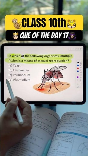 Class 10 Important Questions | Day 17 | Board Exam 2026 | #cbseboard #pyq #class10 #viral #cbse