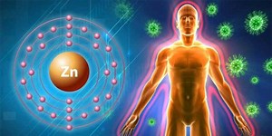 Health Benefits Associated with Consuming Zinc in Your Diet