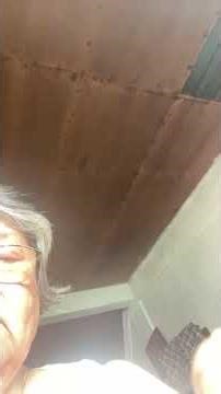 Elsa12 official is live!/good morning everyone